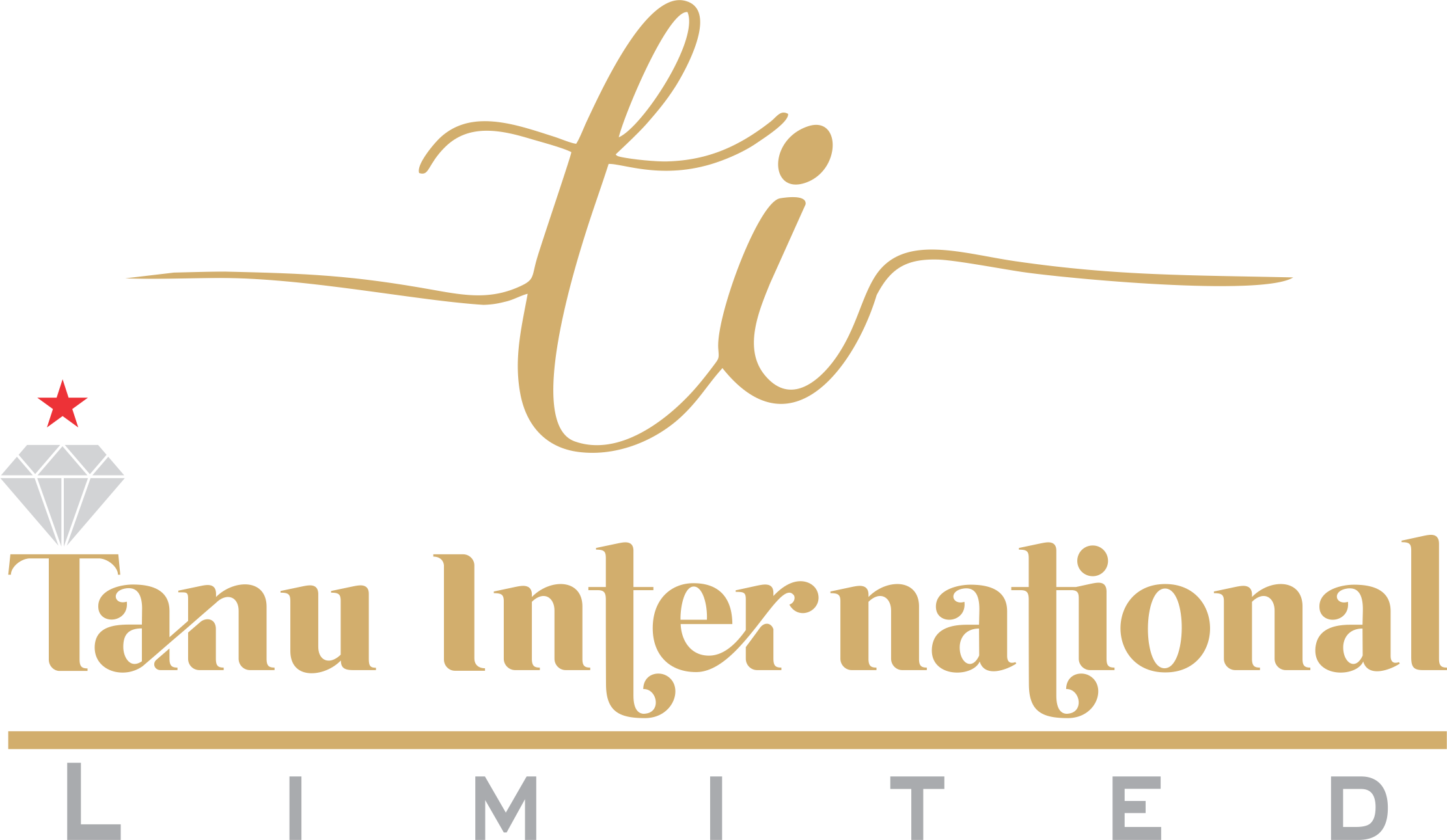 TANU INTERNATIONAL LIMITED